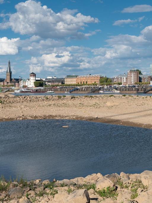 Dürre in Deutschland: Das Foto zeigt den stark gesunkenen Wasserspiegel des Rheins bei Düsseldorf im heißen Sommer 2018.