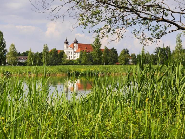 Blick über See und Schilf auf das Kloster