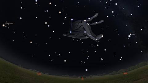 Das Sternbild Pegasus am Südhimmel.