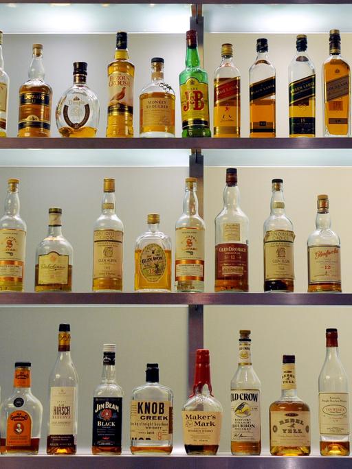 Alkoholflaschen stehen aufgereiht auf Regalen in einer Bar.