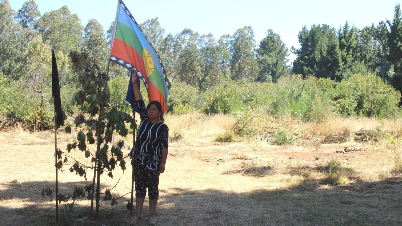 Hortensia Aniñir mit der Flagge der Mapuche - die Indigenen in Chile wollen ihr Land zurück.