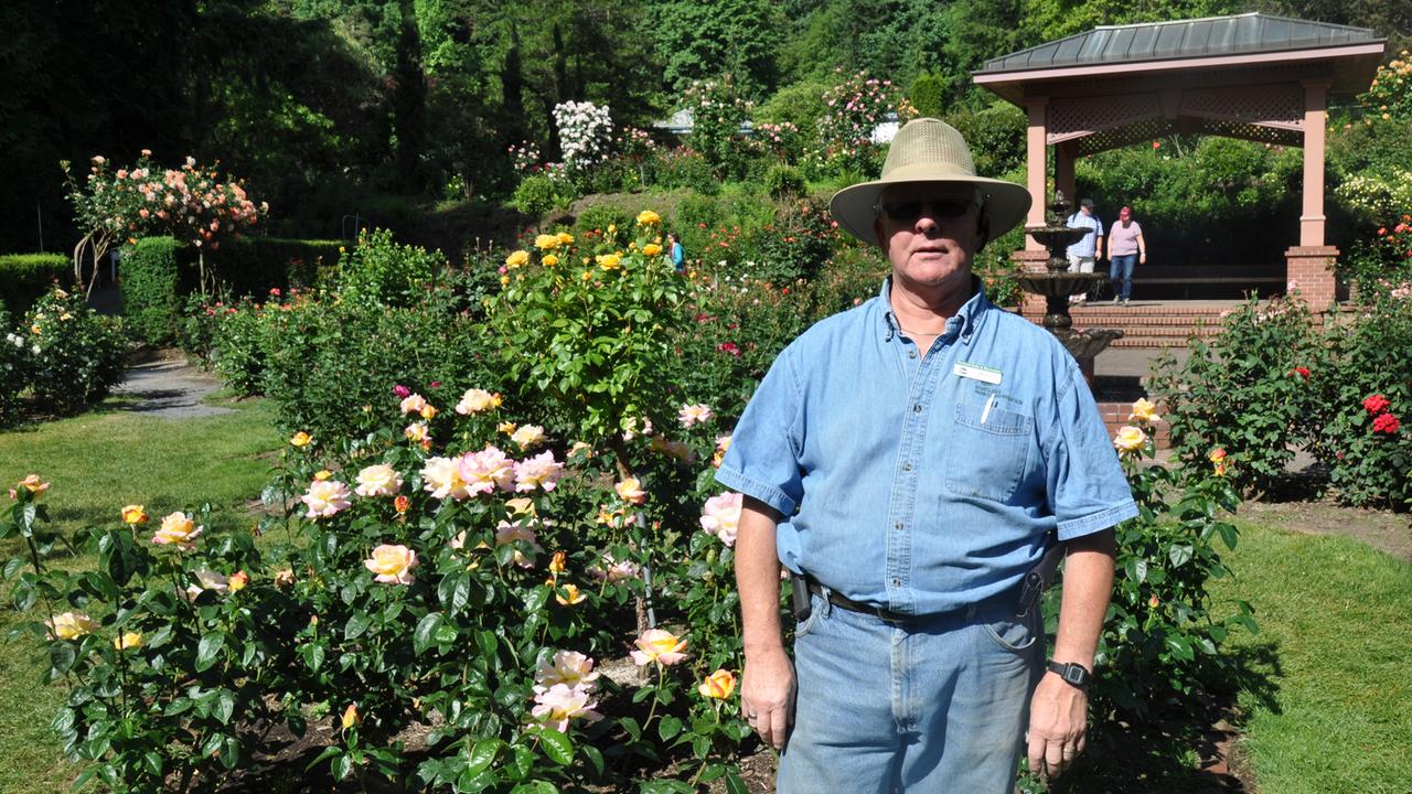 Harry Landers in Rose Garden