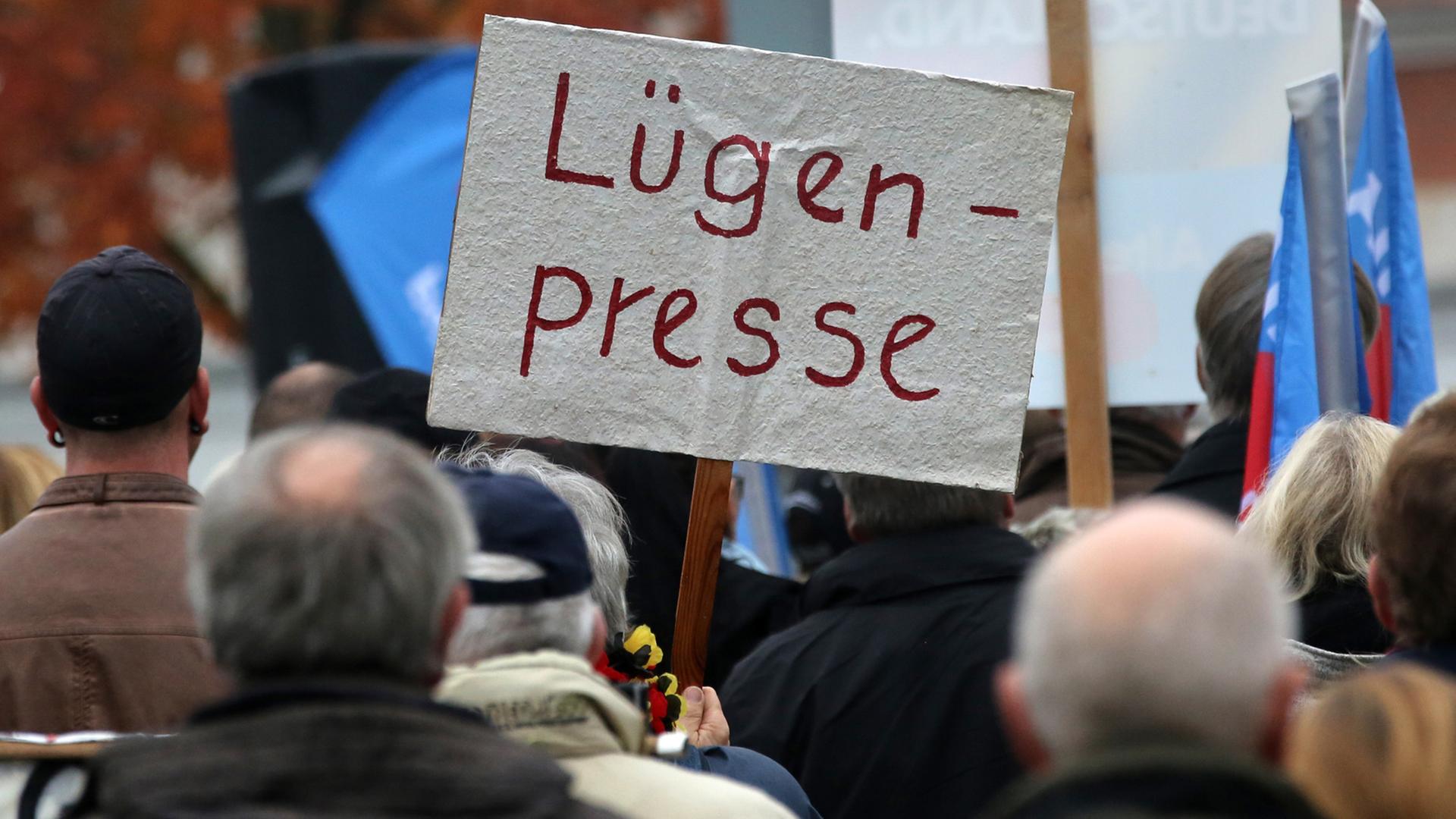Anhänger der Alternative für Deutschland (AfD) demonstrieren in Rostock gegen die deutsche Asylpolitik, auf einem Schild steht "Lügenpresse".