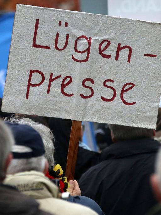 Anhänger der Alternative für Deutschland (AfD) demonstrieren in Rostock gegen die deutsche Asylpolitik, auf einem Schild steht "Lügenpresse".