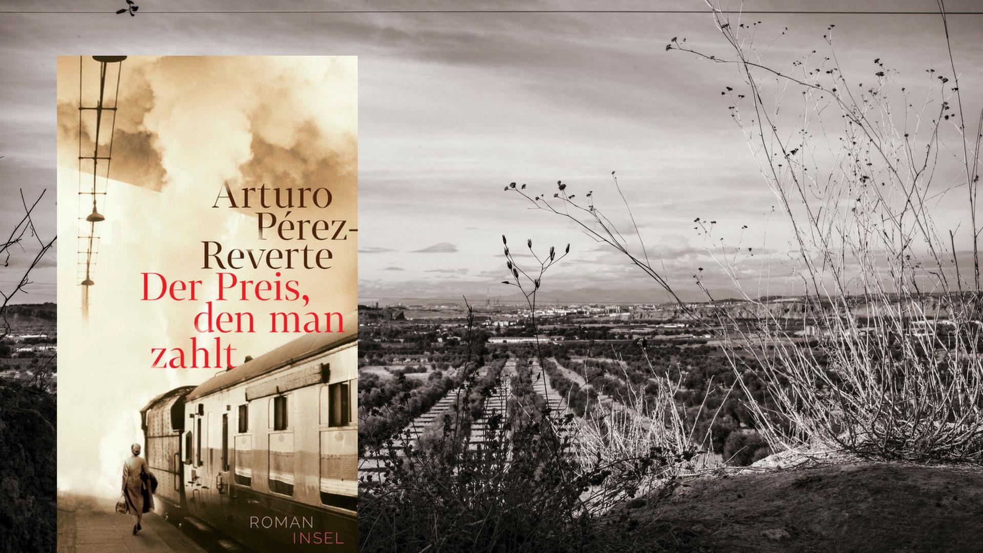 Cover des Romans "Der Preis, den man zahlt" vor dem Hintergrund einer Landschaftsaufnahme in Spanien