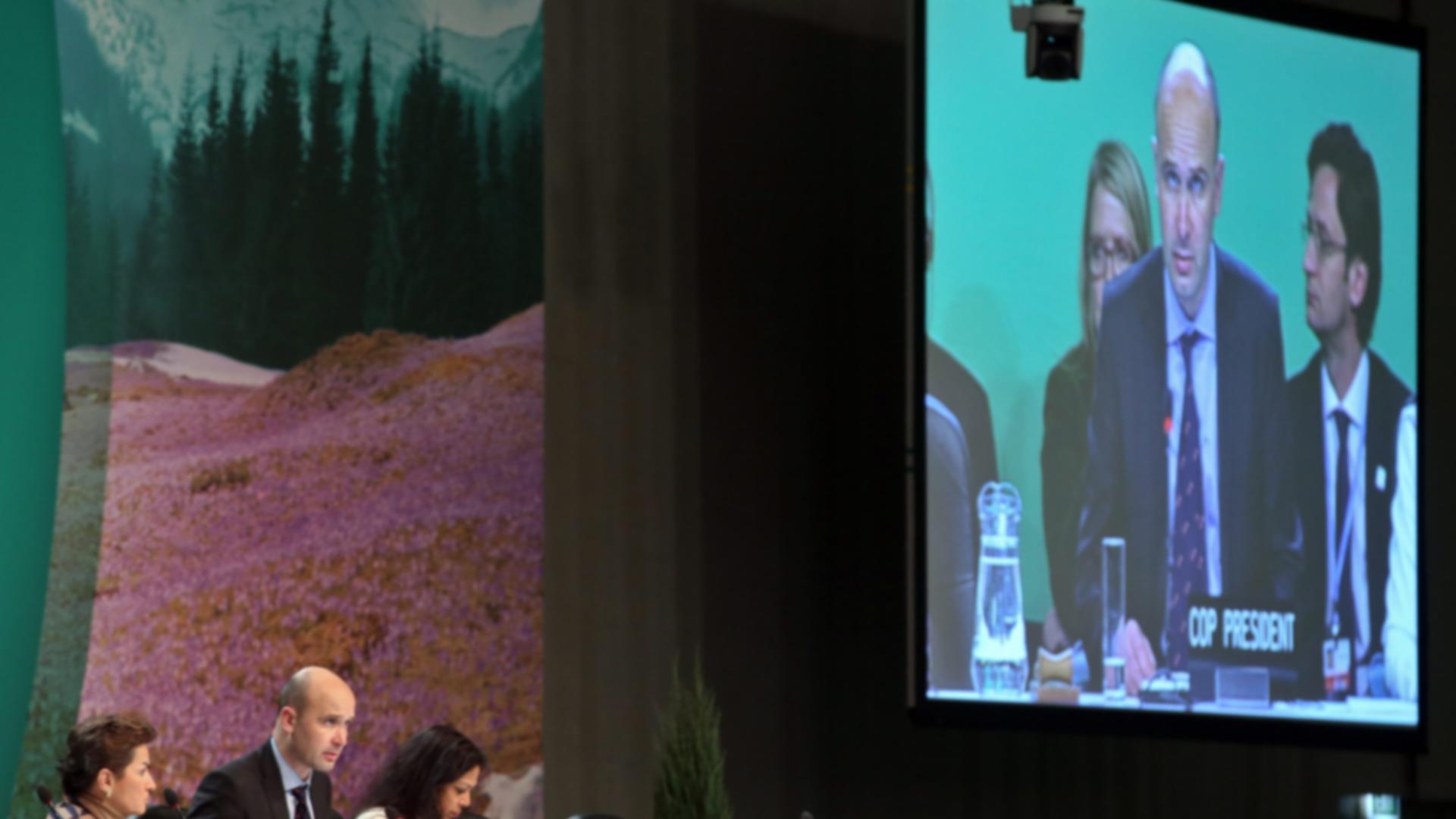 Der polnische Umweltminister Marcin Korolec spricht bei der Klimakonferenz in Warschau