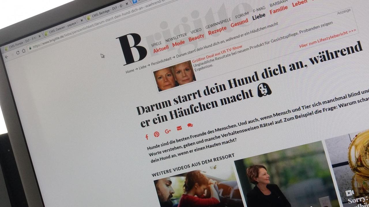 Darum starrt dein Hund dich an, während er ein Häufchen macht: So lautet die Überschrift eines Artikels auf "Brigitte"-Online.