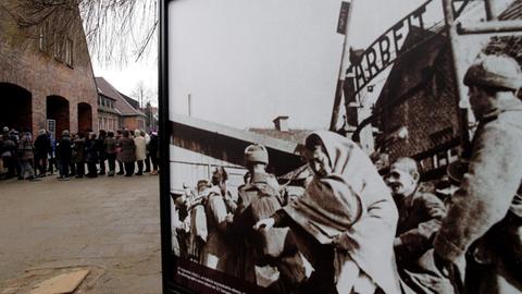 Besucher der Gedenkstätte des ehemaligen deutschen Konzentrations- und Vernichtungslagers Auschwitz-Birkenau betrachten am 71. Jahrestag der Befreiung des Lagers Bilder von "Marsch der Lebenden".