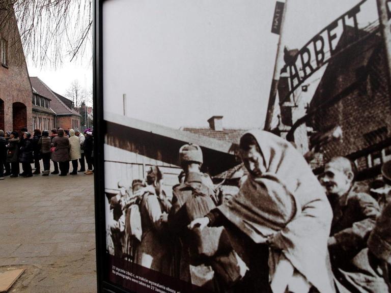 Besucher der Gedenkstätte des ehemaligen deutschen Konzentrations- und Vernichtungslagers Auschwitz-Birkenau betrachten am 71. Jahrestag der Befreiung des Lagers Bilder von "Marsch der Lebenden".