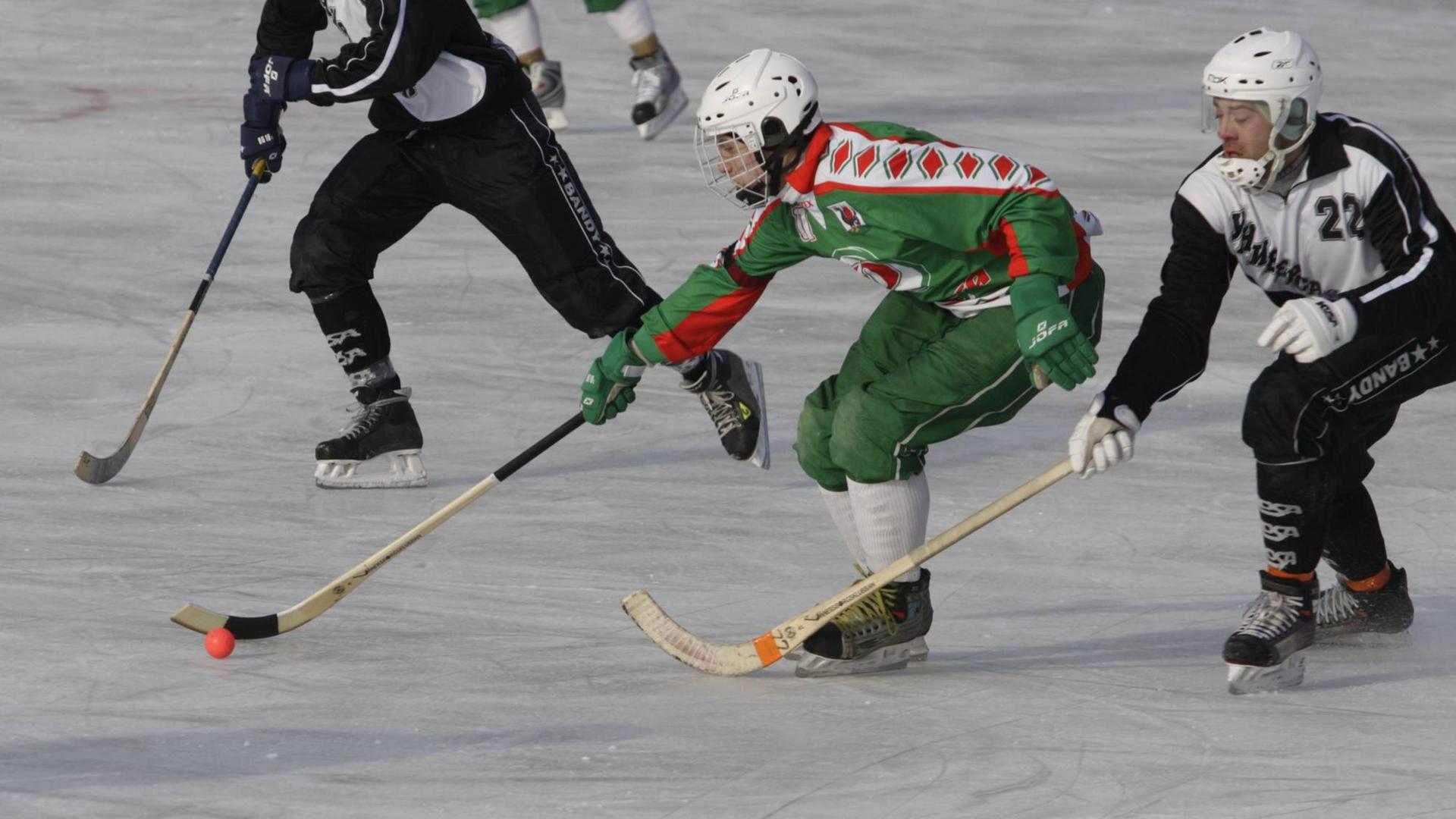 Russische Bandy-Spieler jagen auf dem Eis einem kleinen roten Ball hinterher. Bandy ist eine Mischung auf Eishockey und Fußball und besonders in Nord- und Osteuropa populär.