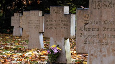 Das Bild zeigt eine Kriegsgräberstätte mit zahlreichen Stein-Kreuzen.