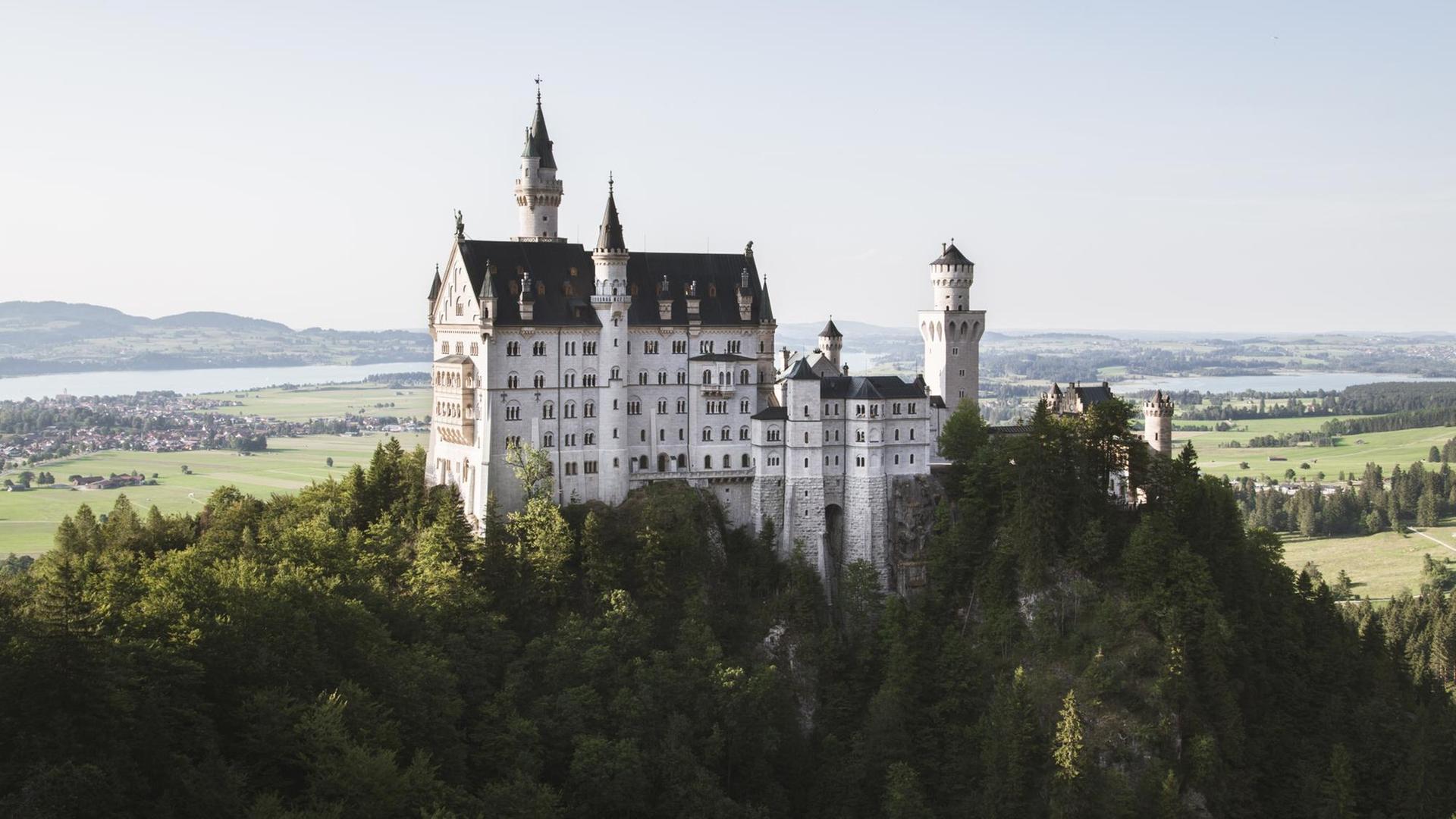 Auf einem bewaldeten Felsen steht das weiß getünchte Schloss Neuschwanstein.