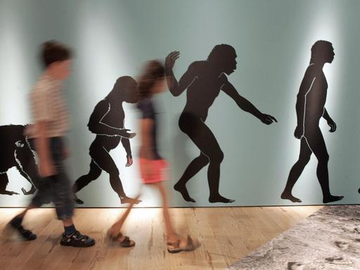 In der Ausstellung "ROOTS // Wurzeln der Menschheit" laufen zwei jugendliche Besucher am Donnerstag (06.07.2006) im Rheinischen Landes Museum in Bonn an einer Plakatwand vorbei, die den Evolutionsverlauf zum Homo Sapiens beschreibt.