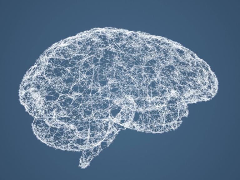 Computerzeichnung eines menschlichen Gehirns