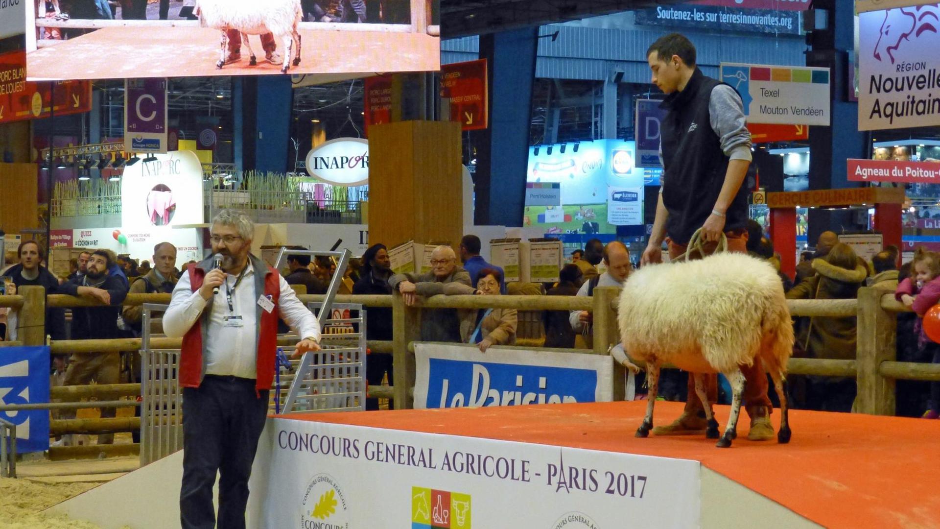 Tahon präsentiert seine Zucht dem Publikum auf der Landwirtschaftsmesse Concours General Agricole 2017 in Paris.