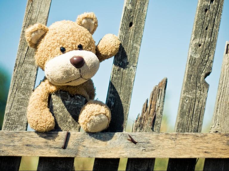 Ein Teddy schaut über einen hölzernen Gartenzaun