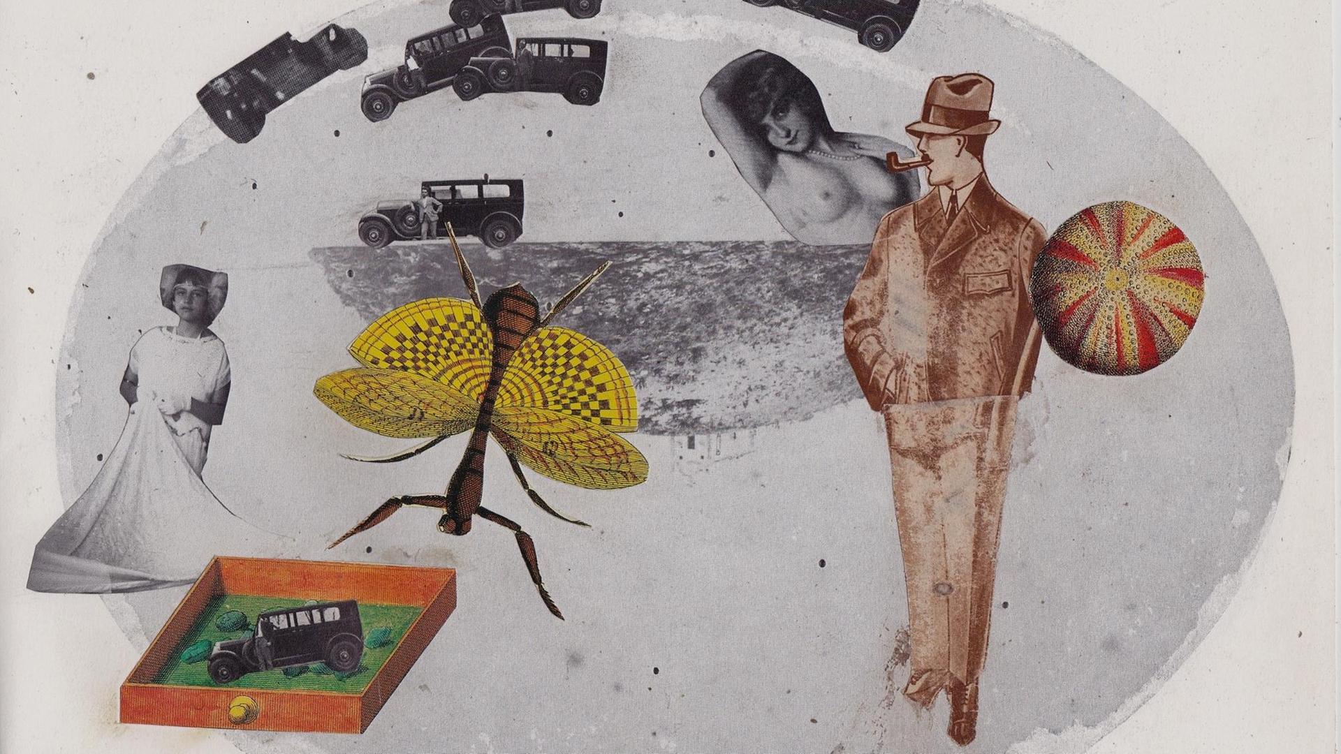 Eine Illustration des Fliegenforschers, mit zwei Damen, einer Fliege, einem Ball und mehreren kleinen Autos.