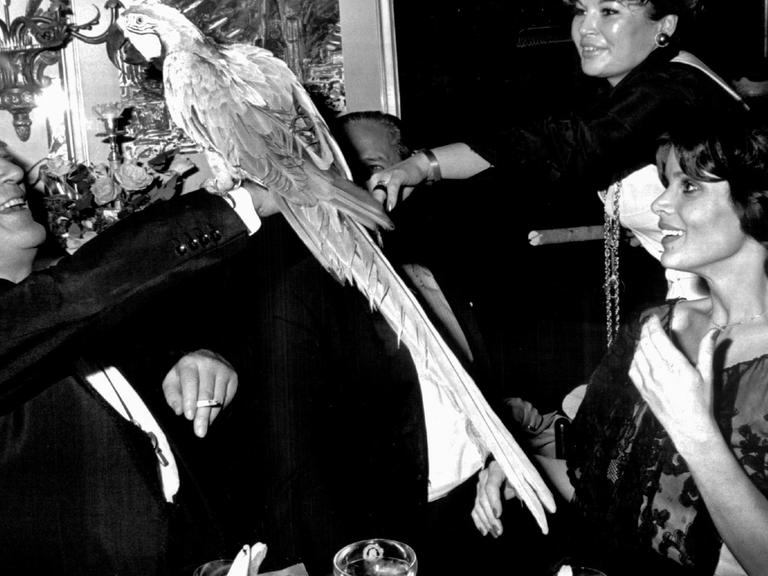 13. Dezember 1975: Zu seinem 60. Geburtstag bekommt Curd Jürgens einen Papagei überreicht. Rechts sitzend: Uschi Glas.