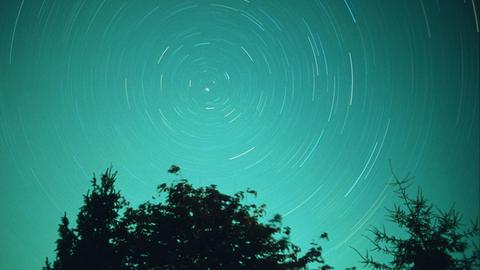 Auf einem türkisfarbenem Himmel, der zwischen scharzen Bäumen erscheint, sind durch eine Langzeitbelichtung kreisförmige Sternen-Lichtspuren zu sehen.