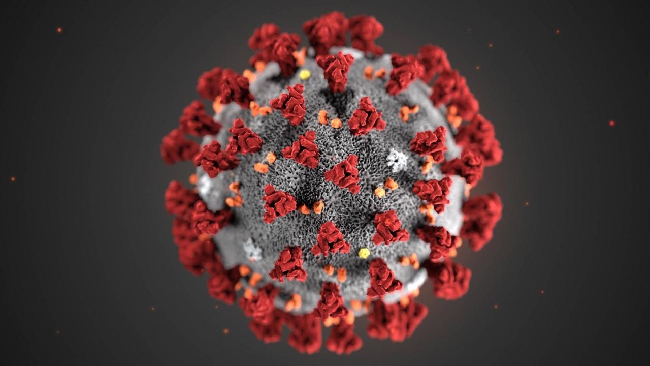 Eine Illustration des Corona-Virus.