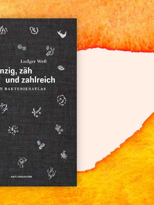 Buchcover von Ludger Weß "Winzig, zäh und zahlreich" Ein Bakterienatlas, vor einem Aquarell-Hintergrund