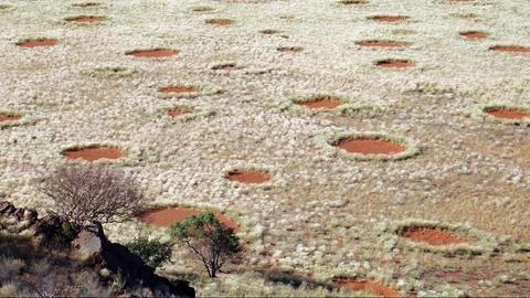 Feenkreise in Namibia.