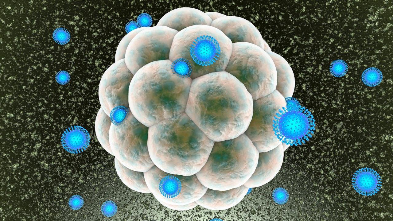 Illustration eines Zellhaufens, der von blauen Zika-Viren befallen wird