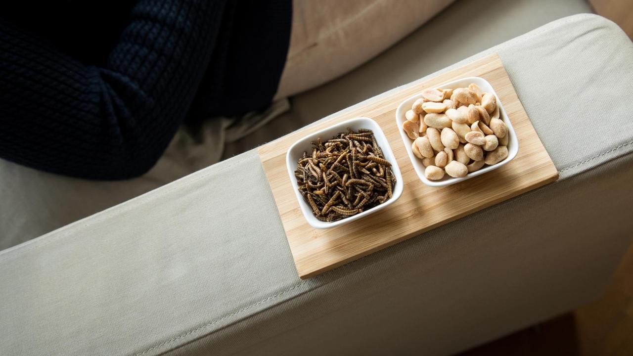 Auf dem Rand einer Couch stehen zwei Schalen mit Snacks: eine mit Erdnüssen, die andere mit Mehlwürmern