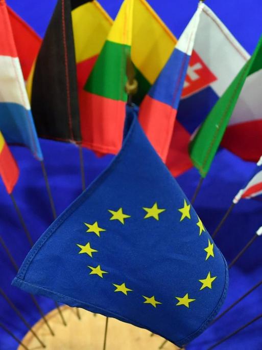Die Flaggen der Mitgliedsstaaten der EU sind zusammen mit der EU-Flagge auf einem Tisch im Europäischen Informationszentrum aufgestellt, fotografiert am 08.02.2017 in Erfurt (Thüringen). Foto: Jens Kalaene/dpa-Zentralbild/ZB | Verwendung weltweit