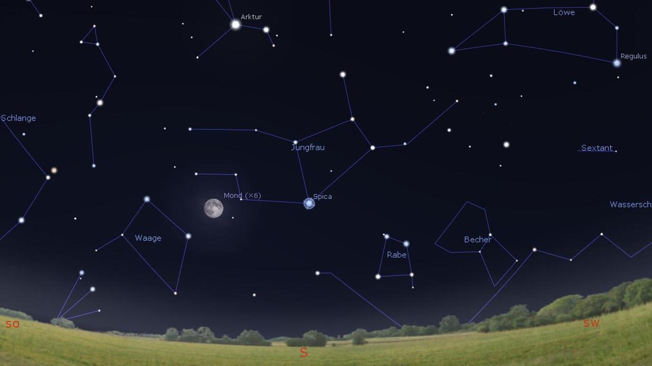Spica, der hellste Stern in der Jungfrau, leuchtet heute Nacht ein Stück rechts des Mondes