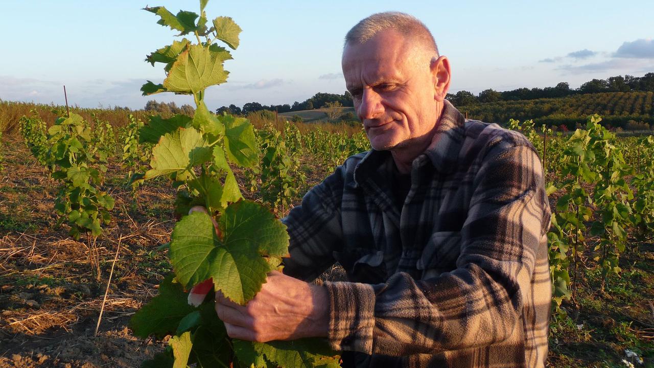 Roman Grad, Hobby-Winzer aus Zielona Gora. Er produziert mit seinem noch jungen Weingut heute 1000 Flaschen Rot und Weißwein. Besonders im Weintourismus sieht er aber für Polen die Chance in Europa.