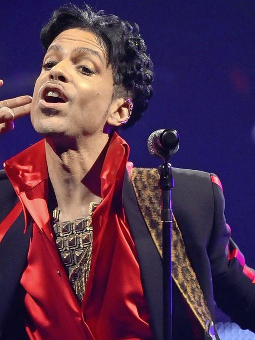 Prince bei einem Konzert in Antwerpen 2010