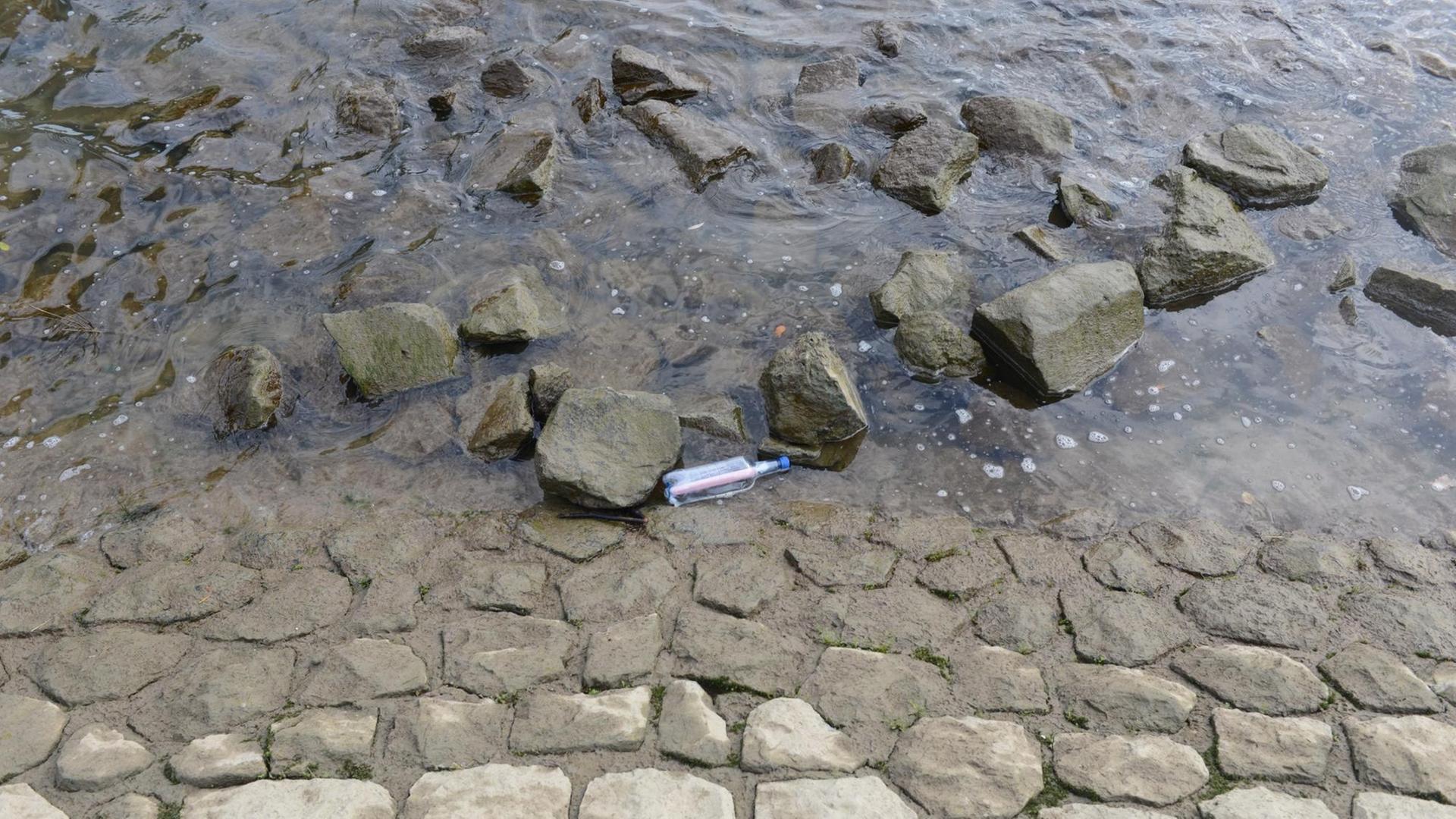 Eine Flasche mit einem Zettel drin am Rheinufer.