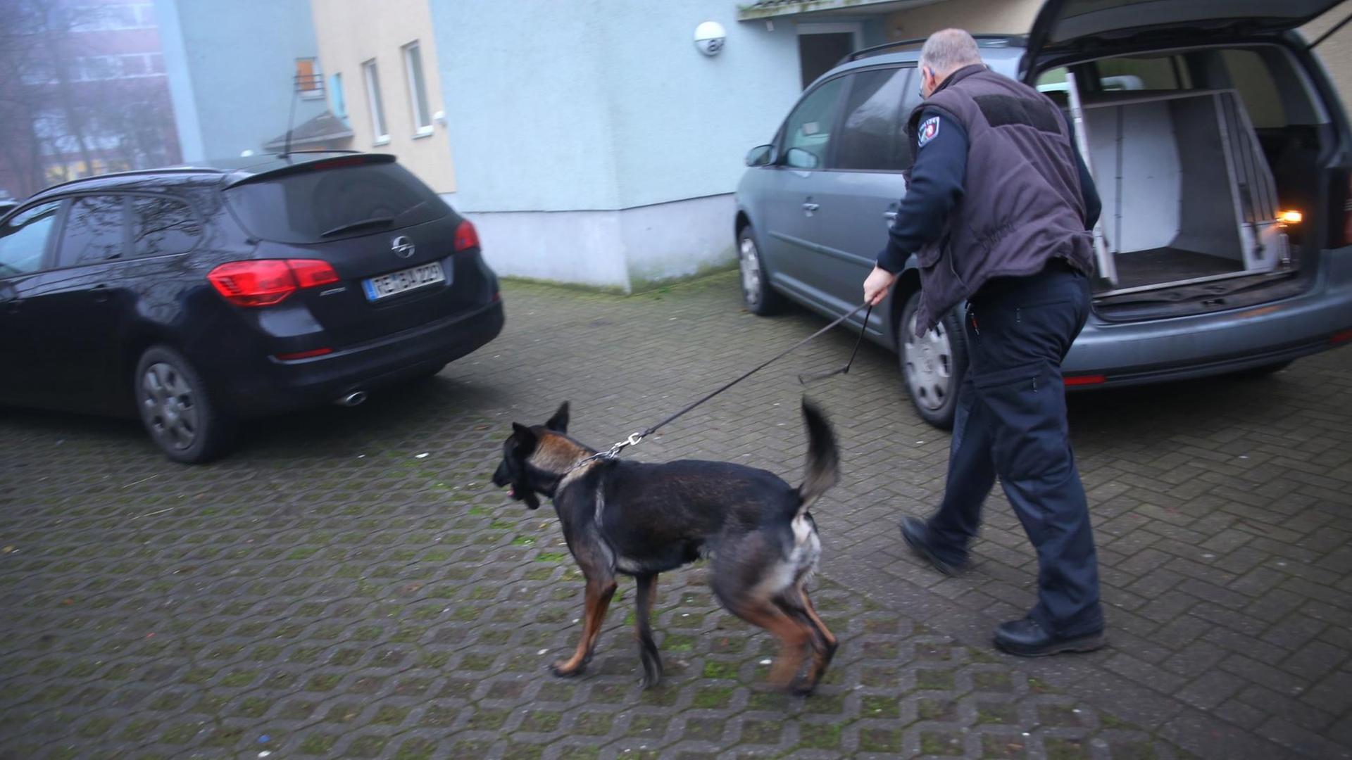 Ein Polizeihund wird zu einem Wohnhaus in Castrop-Rauxel geführt. Bundesinnenminister Seehofer (CSU) hat die rechtsextreme Gruppe «Combat 18» verboten. Die Polizei durchsuchte am Morgen mehrere Objekte in verschiedenen Bundesländern.