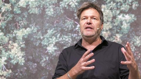 Robert Habeck, Bundesvorsitzender von Bündnis 90 / Die Grünen