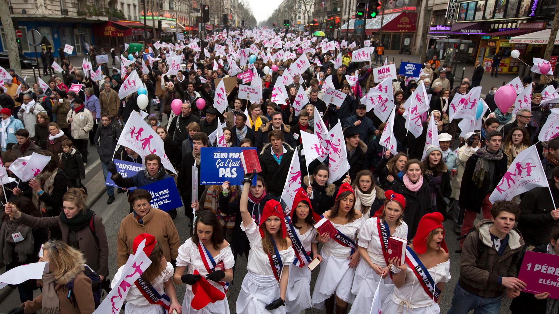 Viele Menschen haben in Frankreich gegen die Homo-Ehe demonstriert. (Bild: picture alliance / dpa / Ian Langsdon)