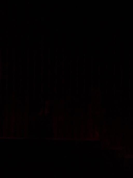 Eine Frau in einem roten Kleid auf der Bühne vor einem roten Vorhang.