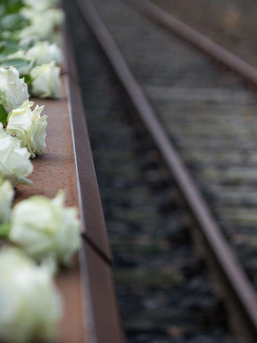 Weiße Rosen liegen neben einem Gleis: Bei der Gedenkfeier "Gleis 17" nahe dem heutigen S-Bahnhof Grunewald wurde an die erste Deportation jüdischer Berliner Bürger in ein NS-Vernichtungslager 1941 erinnert.