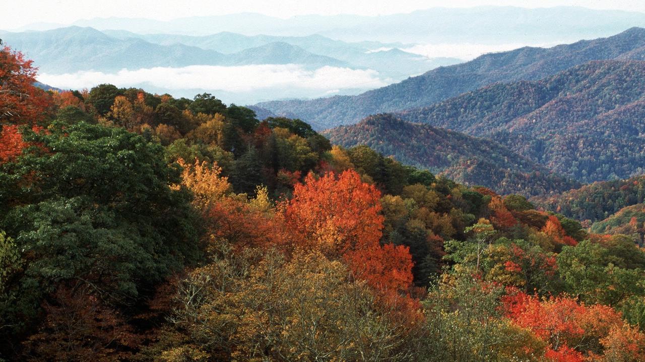 Die Smoky Mountains in Tennessee