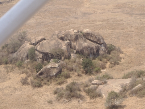 Die Moru Kopjes sind wichtige Rückzugsräume fürTiere in der Serengeti. Die Moru Kopjes sind wichtige Rückzugsräume fürTiere in der Serengeti.