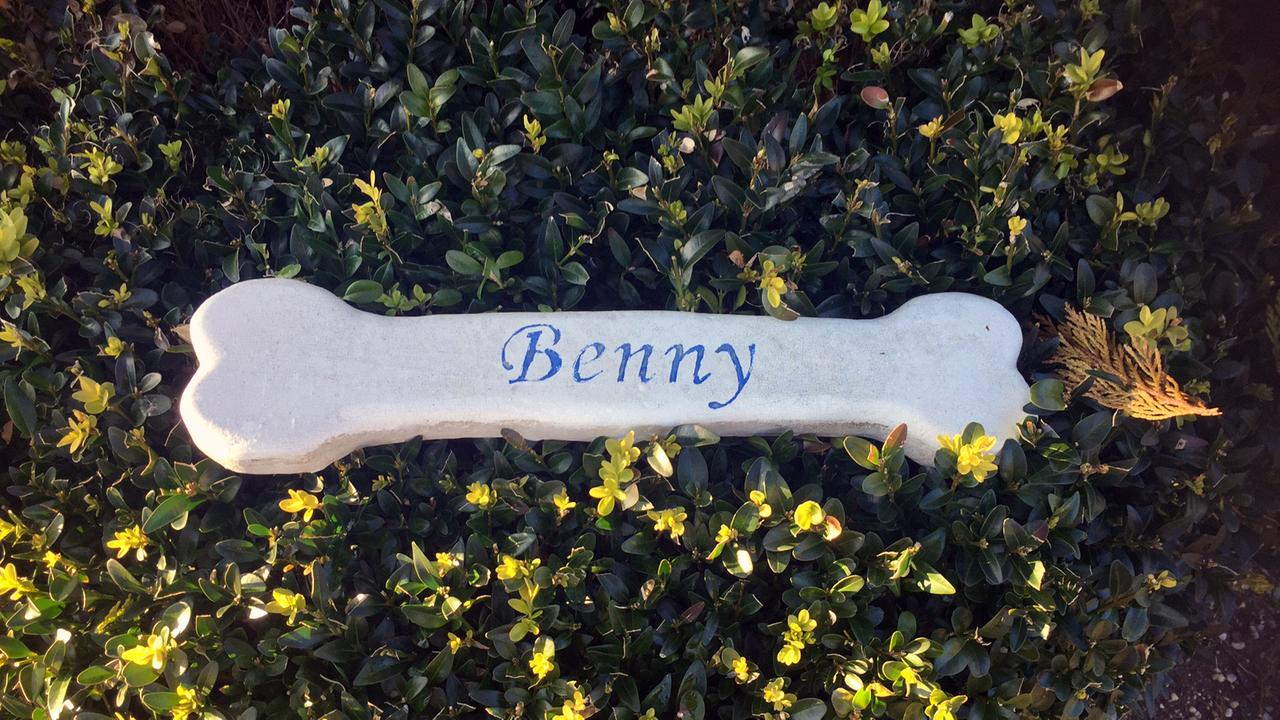 "Benny" steht auf einem Knochen, der auf einem Tiergrab liegt.