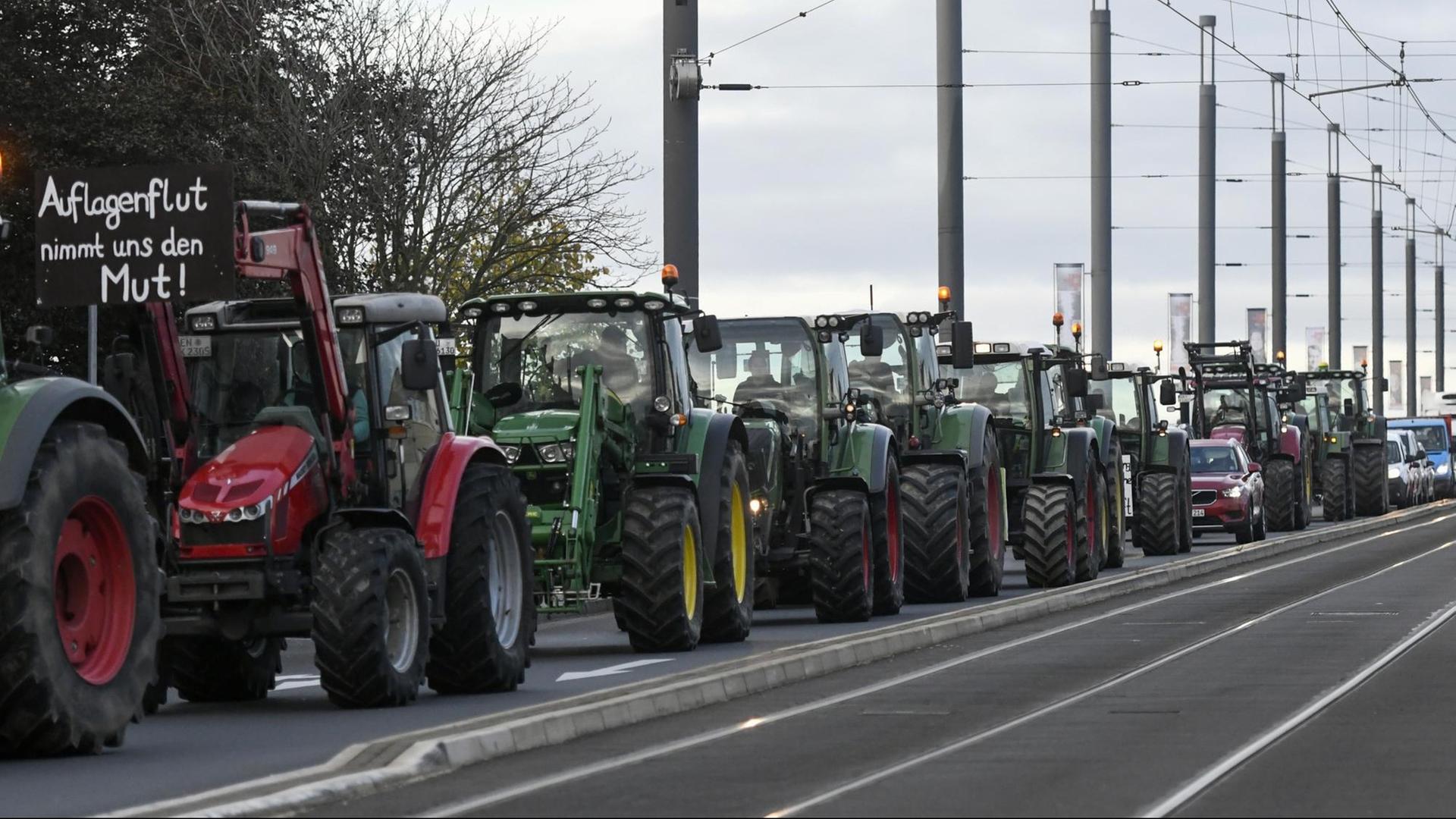 Viele Traktoren fahren in einer Reihe auf der Straße. An einem Traktor hängt ein Plakat.