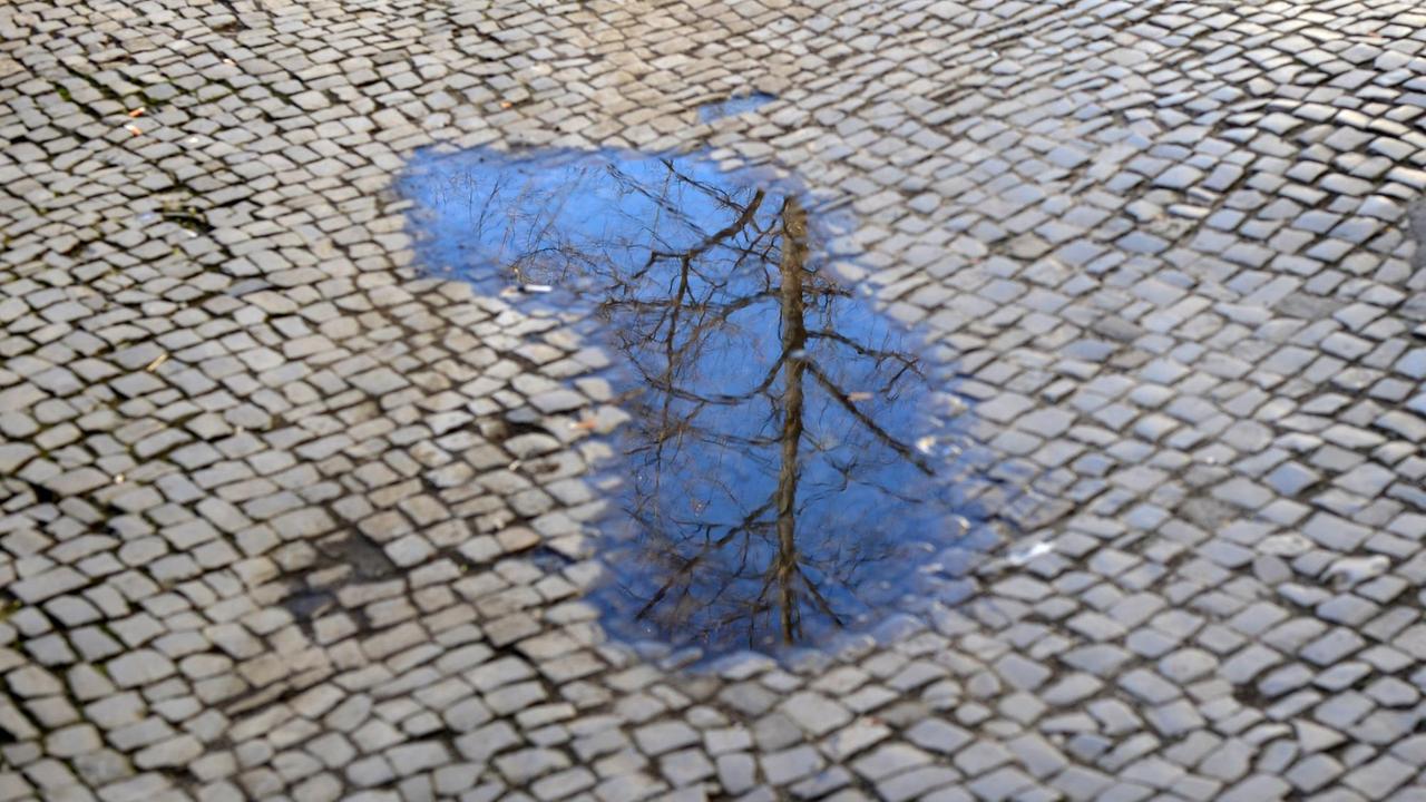 In einer Pfütze spiegeln sich in Berlin Neukölln auf dem Gehweg aus Pflastersteinen in der Weisestraße im Schillerkiez der blaue Himmel und Teile von einem Baum sowie Zweige.