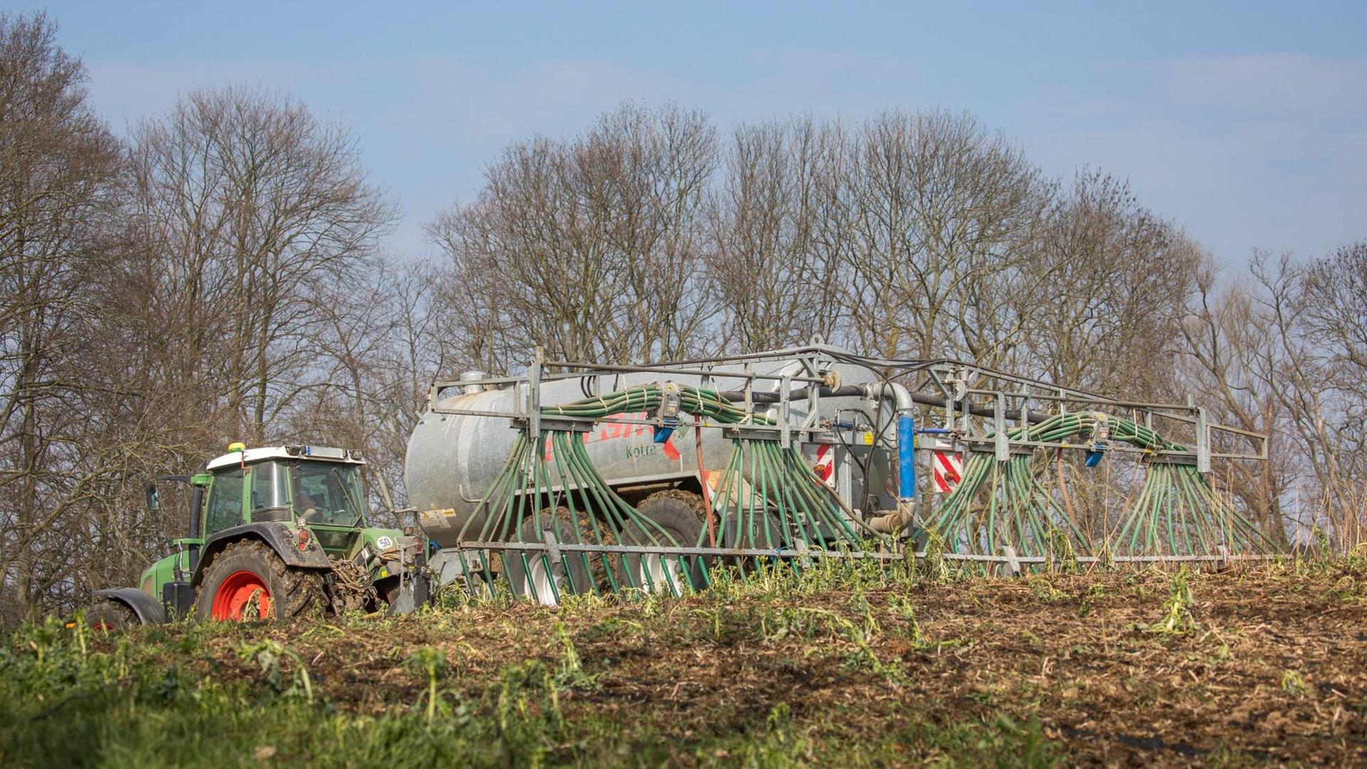 Ein Traktor verteilt aus Düsen Wirtschaftsdünger auf einem Feld. Im Hintergrund ist Wald zu sehen.