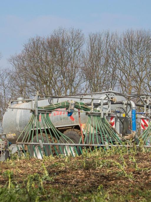 Ein Traktor verteilt aus Düsen Wirtschaftsdünger auf einem Feld. Im Hintergrund ist Wald zu sehen.