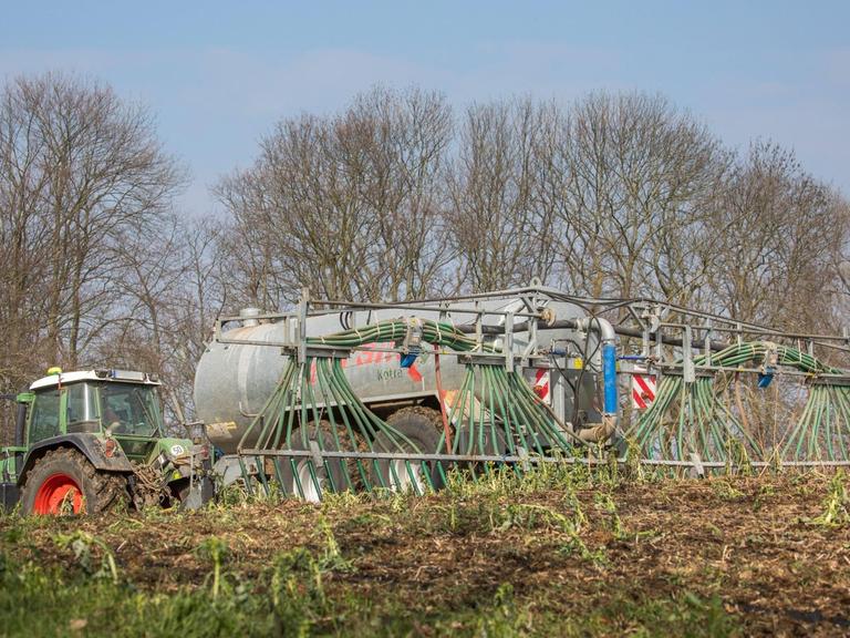 Ein Traktor verteilt aus Düsen Wirtschaftsdünger auf einem Feld. Im Hintergrund ist Wald zu sehen.