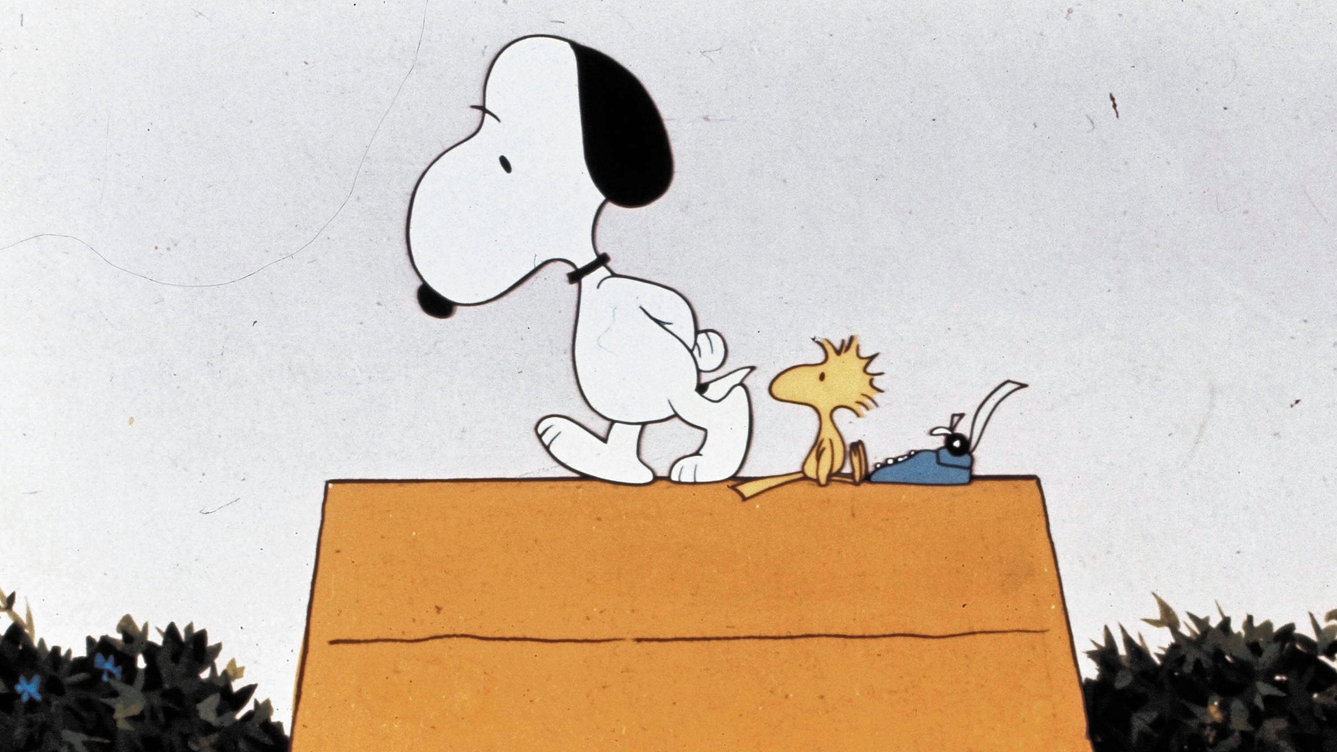 Szene aus dem Film "Come Home Snoopy"