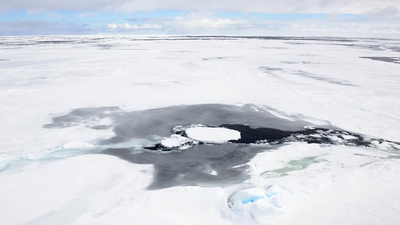 Ein Loch im antarktischen Packeis