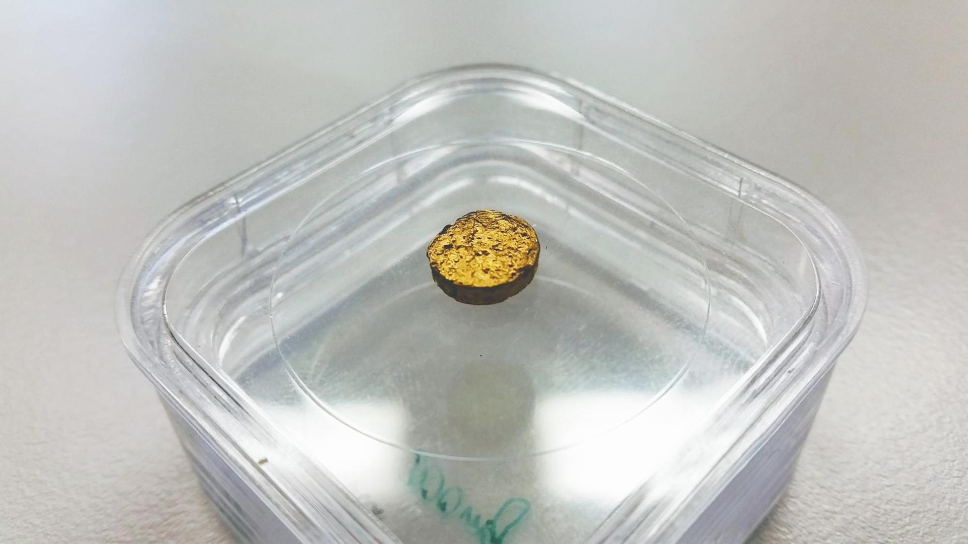 Das Bild zeigt ein goldenfarbenes, rundes Scheibchen, das in einer transparenten Plastik-Schale liegt.