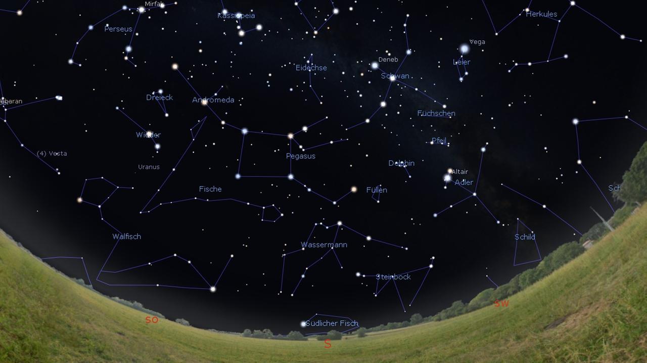 20191001b: Die Eidechse (und somit auch das Gebiet des alten Sternbilds Friedrichs Ehre) steht abends hoch am Himmel, oberhalb von Pegasus und Schwan (Stellarium)